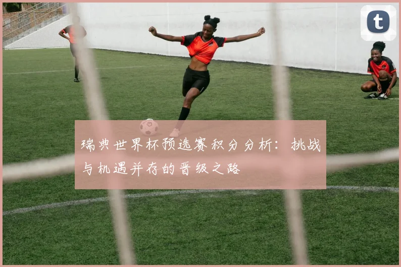 瑞典世界杯预选赛积分分析：挑战与机遇并存的晋级之路