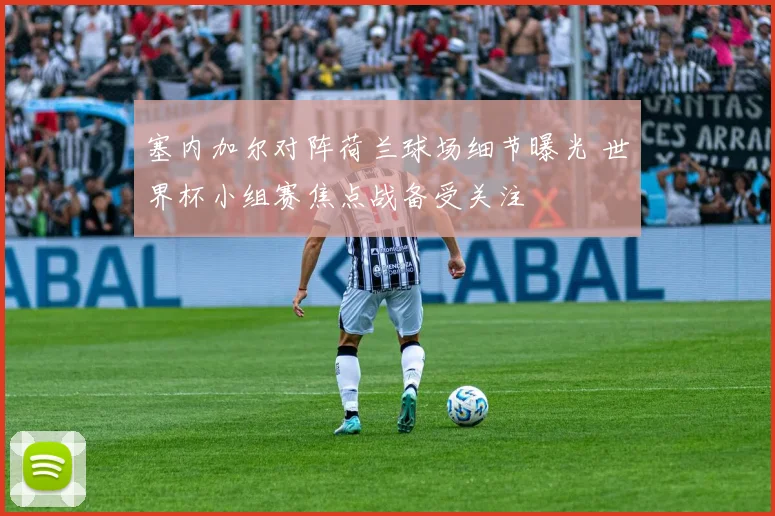 塞内加尔对阵荷兰球场细节曝光 世界杯小组赛焦点战备受关注
