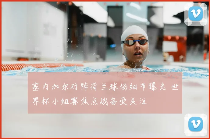 塞内加尔对阵荷兰球场细节曝光 世界杯小组赛焦点战备受关注