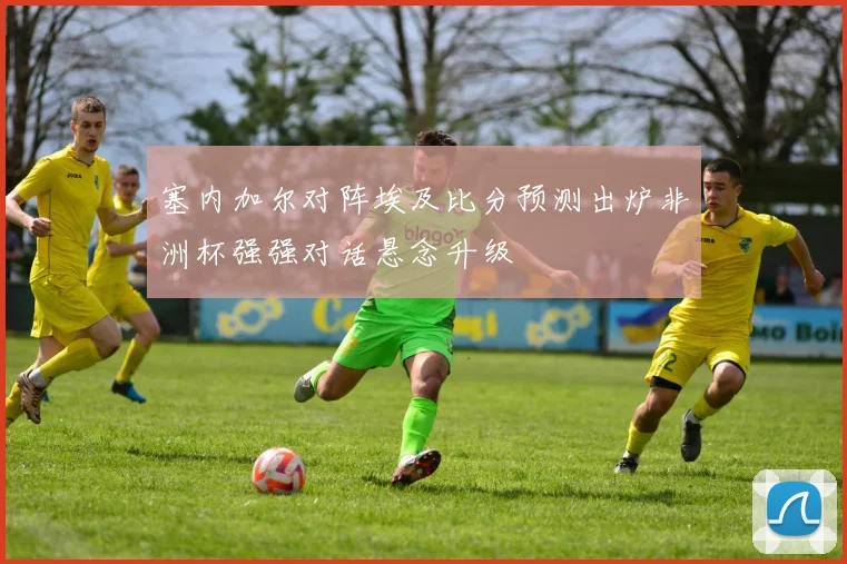 塞内加尔对阵埃及比分预测出炉非洲杯强强对话悬念升级